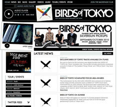 birdsOfTokyoWeb_sml.jpg
