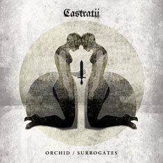 castratii_orchid_sml.jpg