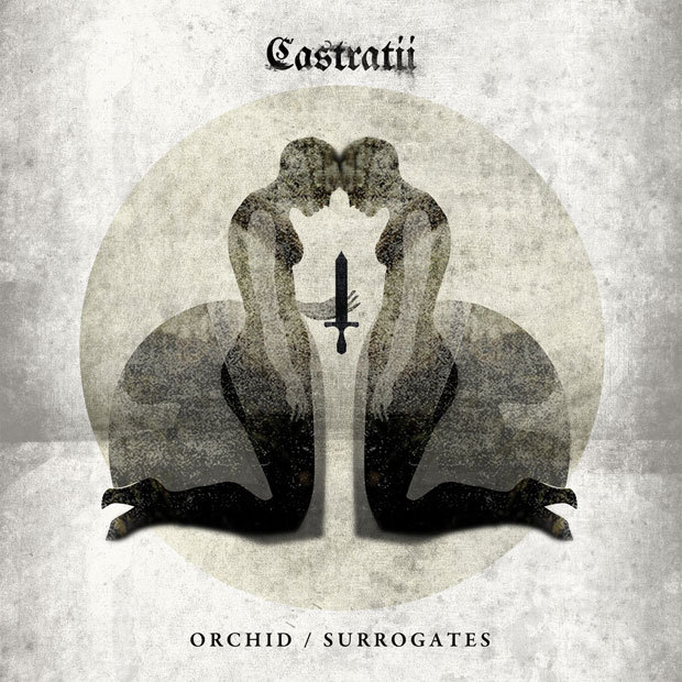 castratii_orchid.jpg